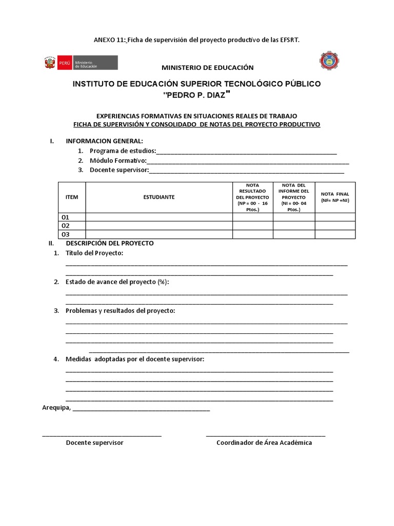 Formato 11 - EFSRT | PDF | Informática