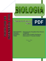 Producto Academico 02 Biologia Nohe - RHH