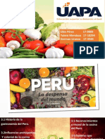 GASTRONOMIA PERUANA 2