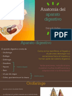 Anatomía Del Aparato Digestivo de La Gallina