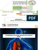 Epoc y Neumonia AVM