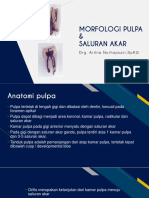 Morfologi Pulpa