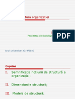 Curs-Structura Organizaţiei (Sociologie)