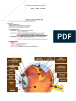 U2 l1 Ochiul-Anatomie PDF