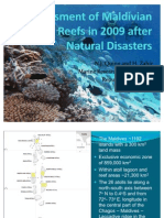 Coral Reef Status in 2009 Maldives Reefs