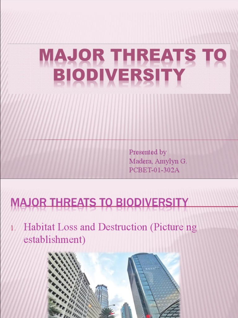 AMYG | PDF