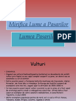 Mirifica Lume a Pasarilor (1).pptx