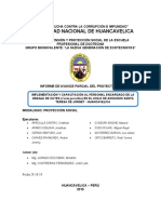 El Informe Parcial PROYECCION SOCIAL Completo