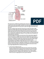 Anatomi fisiologi paru-paru