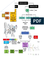 Fisiología de Audición