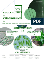 K2 Botani Cryptogamae - Cyanophyta, Euglenophyta, Chlorophyta