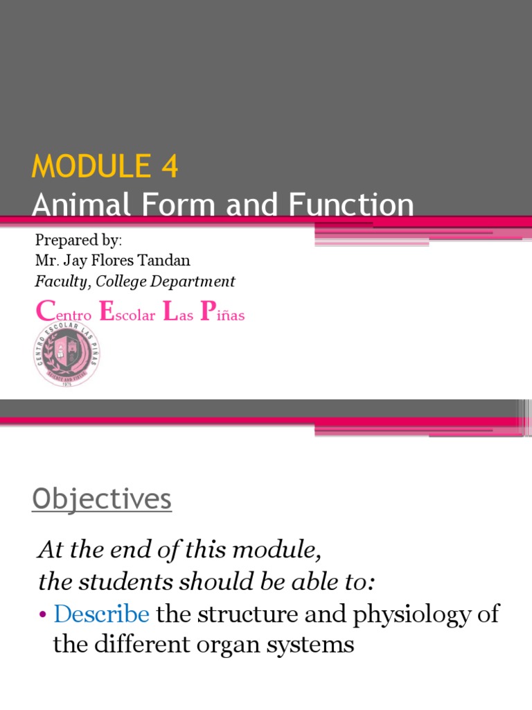 Animal Structure and Function Overview | PDF | Integumentary System ...