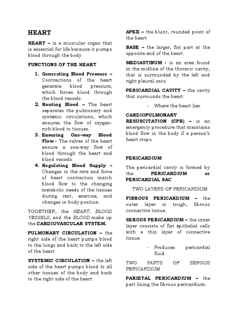 Functions and Anatomy of the Heart | PDF | Heart Valve | Artery