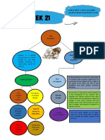 Week 21: Final PR Oduct: CR Eate y Our Graphic Organiserabouttheproblem:poverty