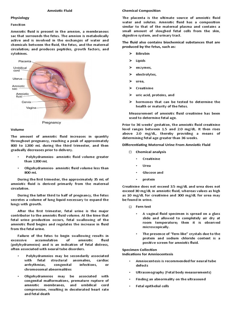 Amniotic Fluid Physiology Chemical Composition | PDF | Fetus | Anatomy