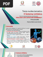 3 Nucleo Tematico 4 Lezione Il Sistema Linfatico PDF