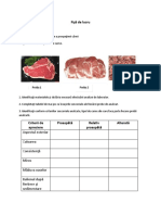 Fise de lucru -falsificare carne.docx