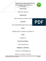 Informe de Practica de Fisiología Vegetal 4B Yordan Delgado