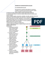 tema 1.COMUNICACIÓN CELULAR  primera pate