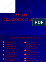 trauma_craneoencef._2