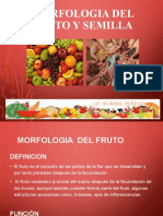 Tema: MORFOLOGIA DEL FRUTO Y SEMILLA
