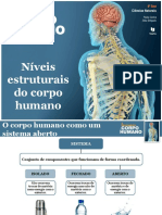 Níveis Estruturais Do Corpo Humano