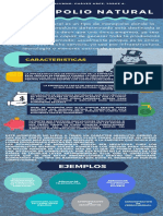 MONOPOLIO NATURAL - Infografia