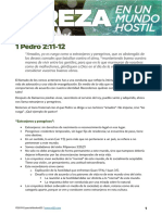 Pureza 3 PDF