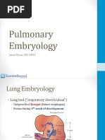 PulmonarySlides2020 FullSize 5 PDF