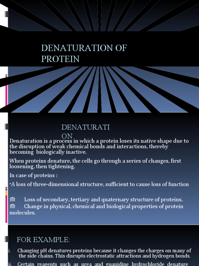 Understanding Protein Denaturation | PDF