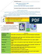 Repel let down coil Lucrare Practică VIII Celula | PDF