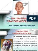 Traumatismo Craneoencefálico: Mg. Adriana Ponce Eyzaguirre