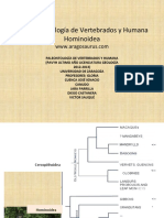 016 Paleontología de Vertebrados y Humana Hominoidea