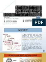 Anatomi Fisiologi Konsep Dasar Gigi Dan Mulut