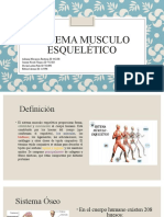 Sistema musculo esquelético (1)