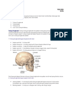 Tgs Biologi