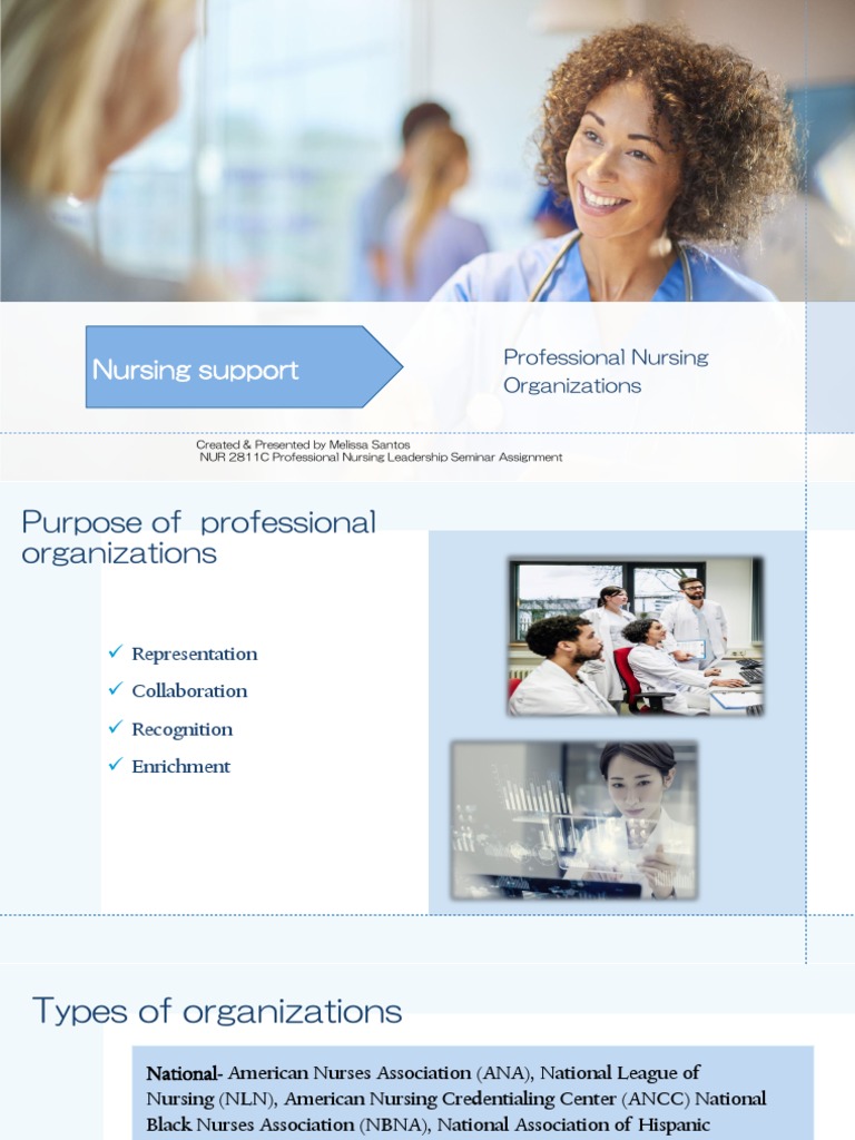 Overview of Professional Nursing Organizations | PDF | Nursing | Medicine