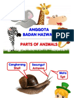 33 - Anggota Badan Haiwan - (BM & BI).pdf