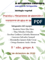 FISIOLOGÍA VEGETAL - Práctica 1 - A Entregar