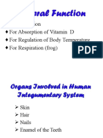 For Protection For Absorption of Vitamin D For Regulation of Body Temperature For Respiration (Frog)