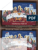 Eucaristia Intellectus Fidei IX