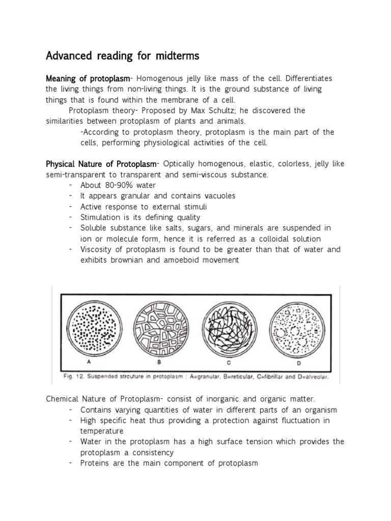 Protoplasm: Structure and Theory | PDF | Home & Garden | Wellness