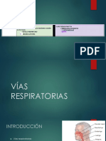 VIAS RESPIRATORIAS - Epitelio Respiratorio y Mucosa Olfatoria