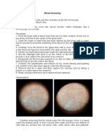 Observe Blood Cells Under a Microscope