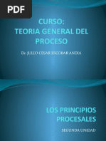 2 Principios Procesales
