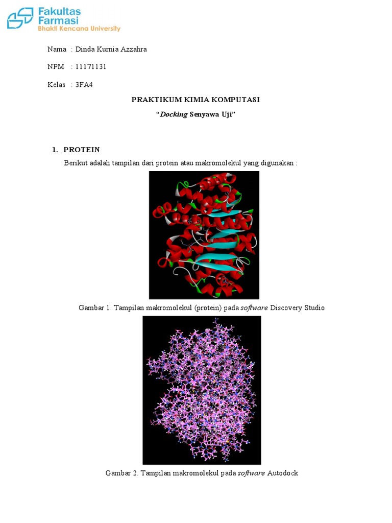 Molecular docking pdf