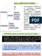 Etapas de La Digestión de Lípidos (I) PDF