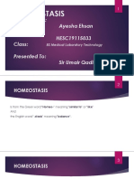 Homeostasis: Presented By: Ayesha Ehsan Roll No: HESC19115033 Class: Presented To: Sir Umair Qadir