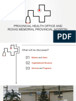 Provincial Health Services and Programs in Capiz