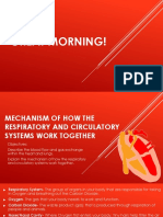 Mechanism of How The Respiratory and Circulatory Systems Work Together